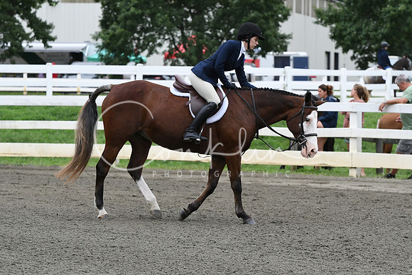 HSM_4817