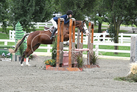 HSM_4871