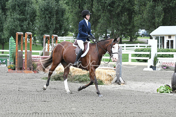 HSM_4878