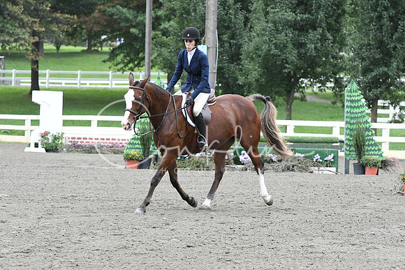 HSM_4935