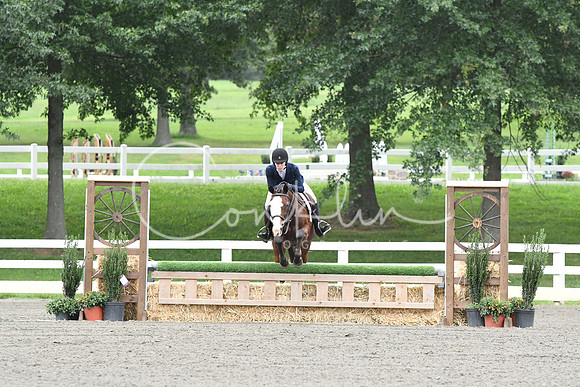 HSM_4941