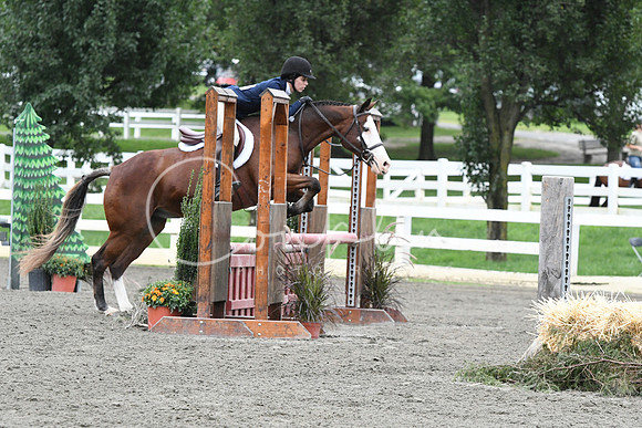 HSM_4949