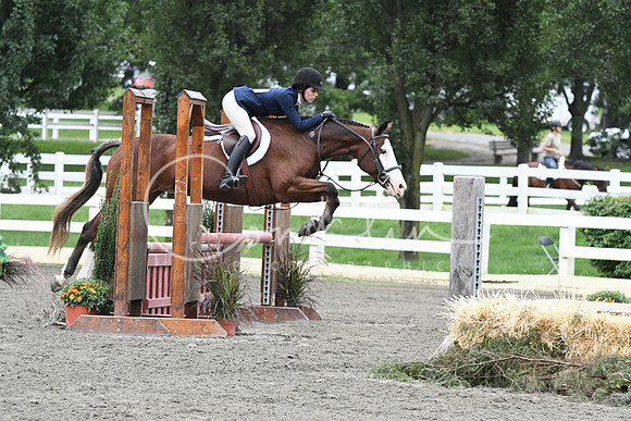HSM_4950