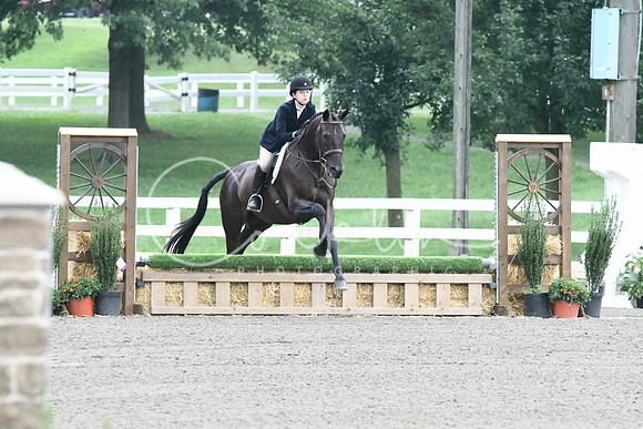 HSM_0906