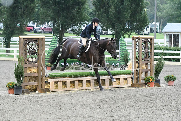 HSM_0909