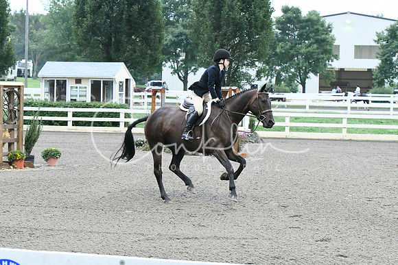 HSM_0910