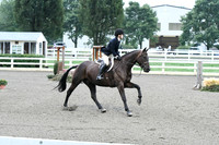 HSM_0911