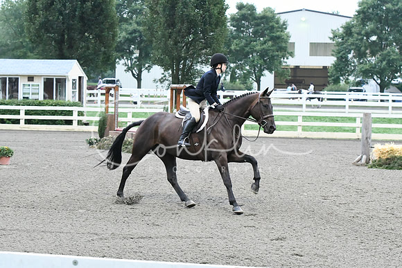 HSM_0911