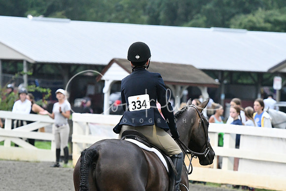 HSM_0913