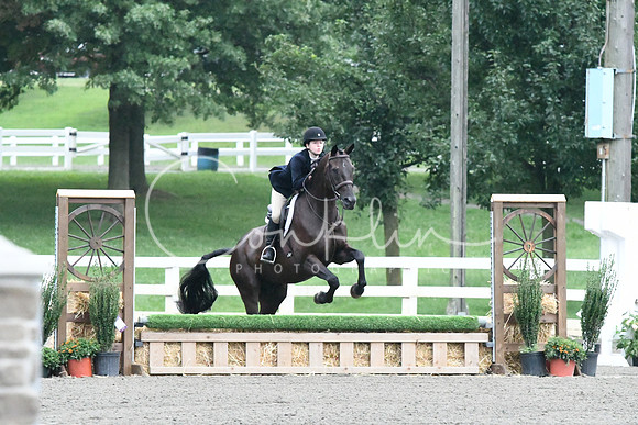 HSM_0955