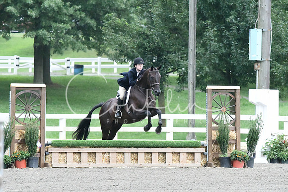 HSM_0956