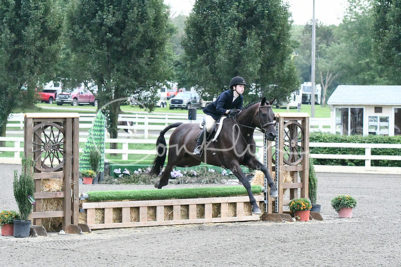 HSM_0959