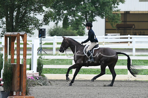 HSM_0962