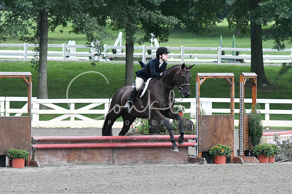 HSM_0966