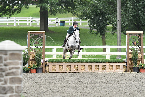 HSM_1575