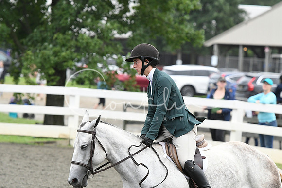 HSM_1582