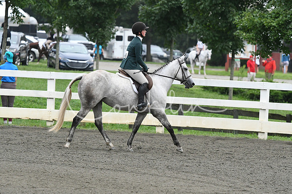 HSM_1583