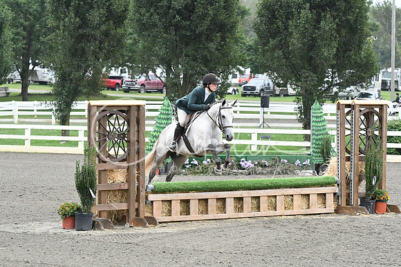 HSM_1577