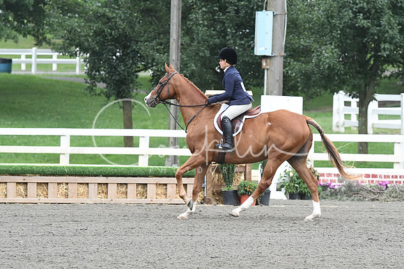 HSM_1590