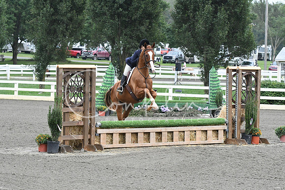 HSM_1595