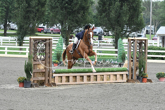 HSM_1596