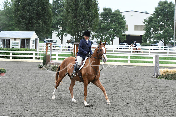 HSM_1597