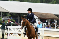HSM_1651