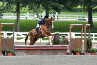 HSM_1653