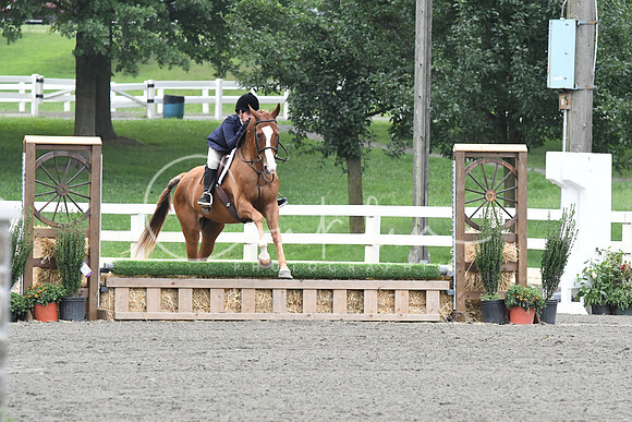 HSM_1741