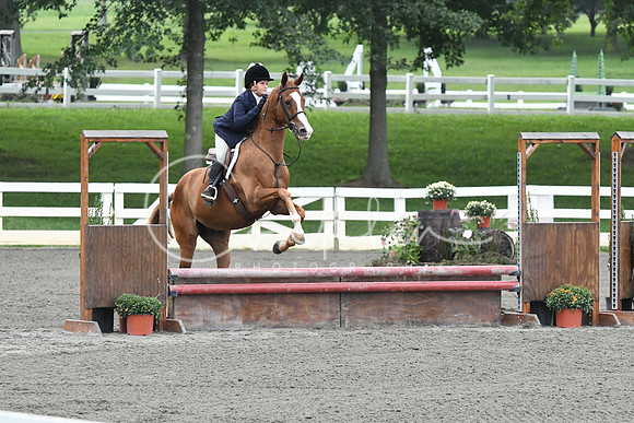 HSM_1744