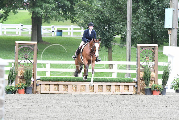 HSM_1287