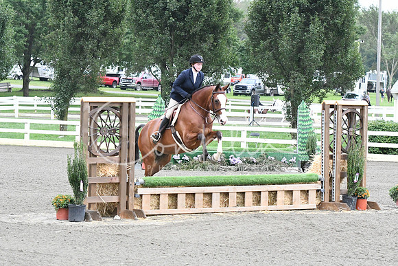 HSM_1289