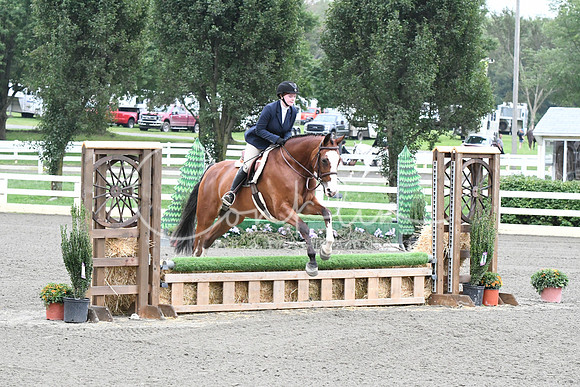 HSM_1290