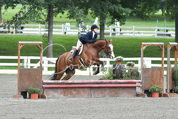 HSM_1293