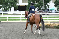 HSM_1337