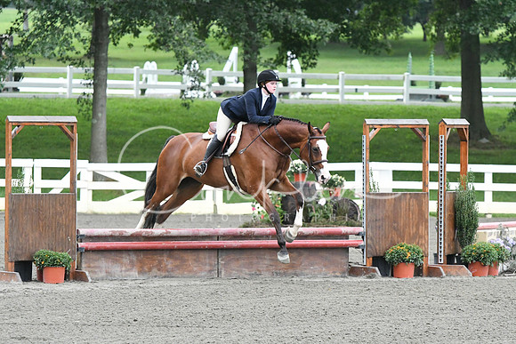 HSM_1294