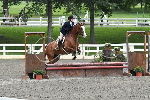 HSM_1341