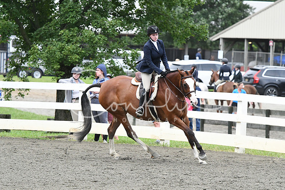 HSM_1344