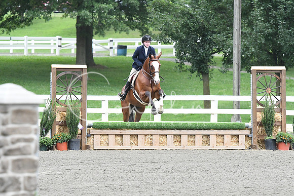 HSM_1348