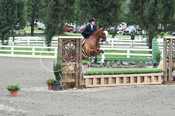 HSM_1350