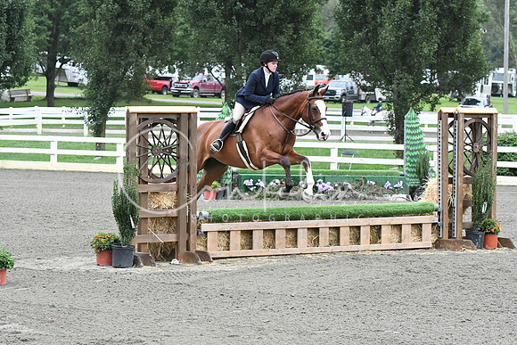 HSM_1351