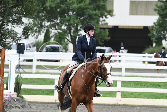 HSM_1353