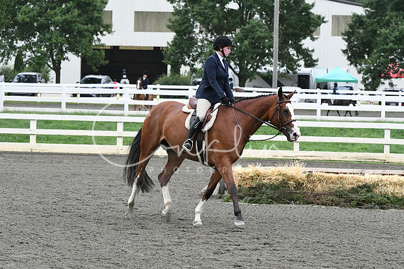 HSM_1354