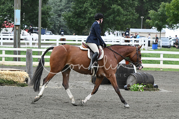 HSM_1356