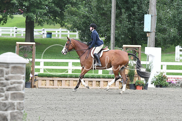 HSM_1428