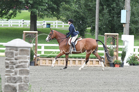 HSM_1429
