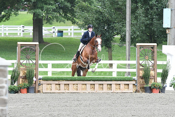 HSM_1431
