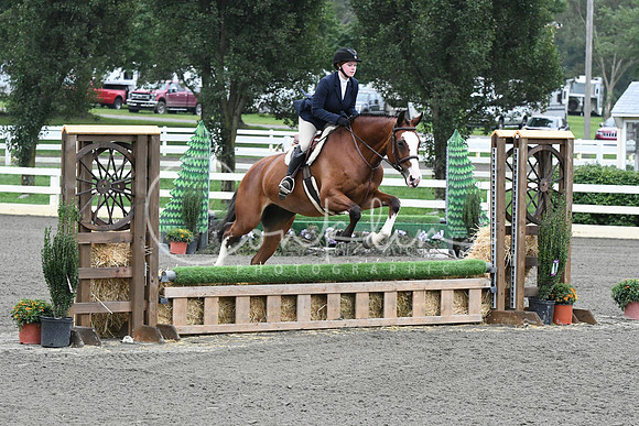 HSM_1434
