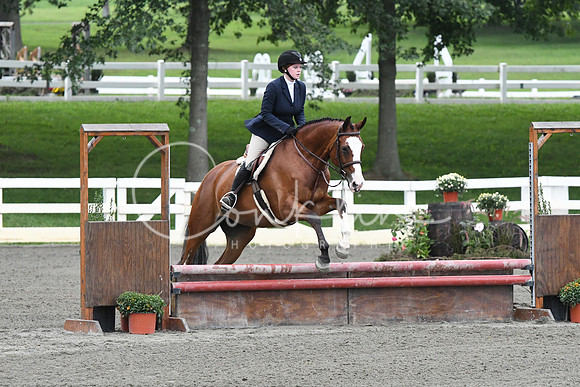 HSM_1439