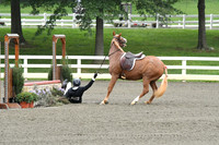 HSM_1543